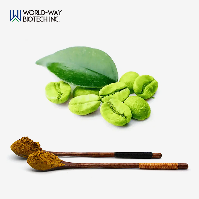 Best Green Coffee Bean Extract Powder Best Green Coffee Bean Extract Powder